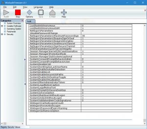 WinAudit