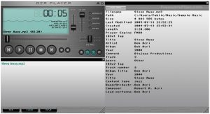 BZR Player